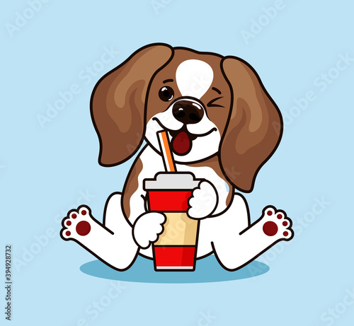 Funny Beagle Dog. Cute beagle dog standing and looking up. Lovely cool puppy.