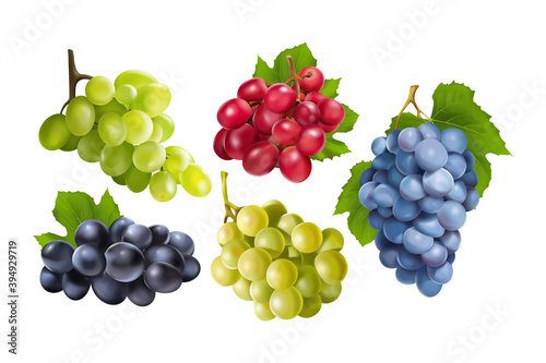 Realistic grapes set print collection