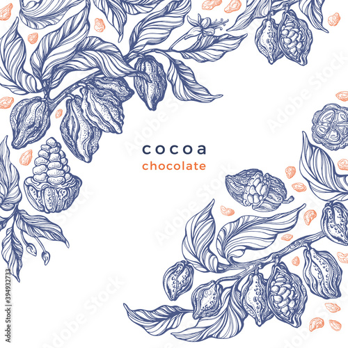 Cacao texture plant. Vector graphic bean. Bio food