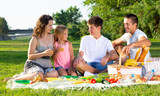 Happy family with two children enjoying picnic on green meadow together..
