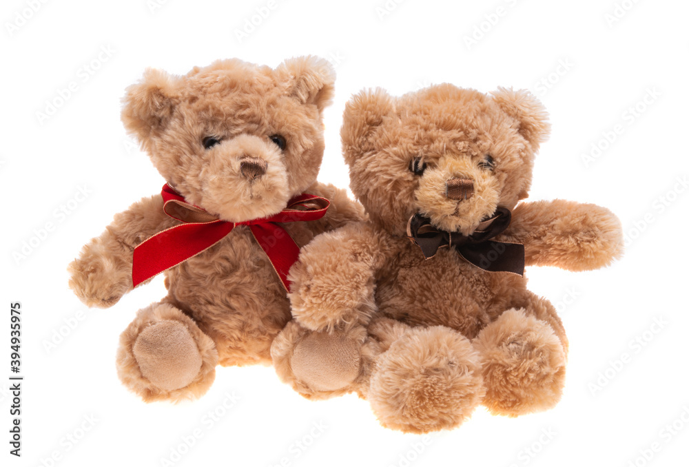 soft toy bear isolated