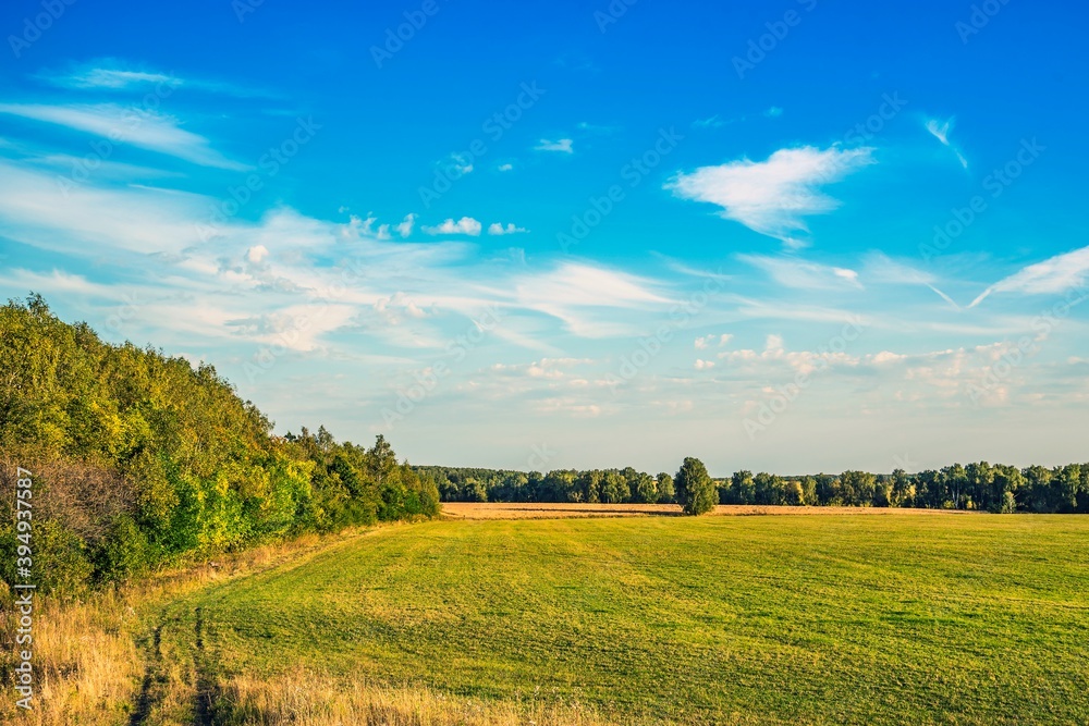 Road along a mown field, forest, arable land in the evening at sunset of a Sunny day in early autumn. Road along a mown field, forest, arable land in the evening at sunset of a Sunny day in early autumn.