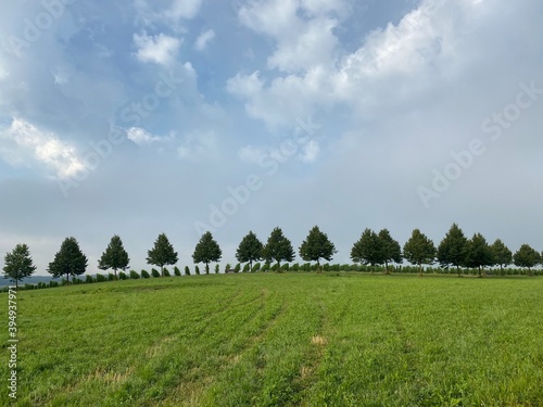field and blue sky