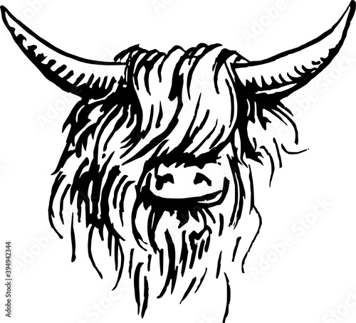 Scottish Highlander - vector artwork for wallpaper - icon or artwork in a modern interior
