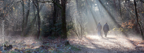 two women walk in autumn forest near doorn on utrechtse heuvelrug in the netherlands photo