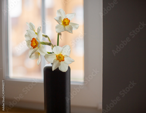 Vase with flowers Narcissus
