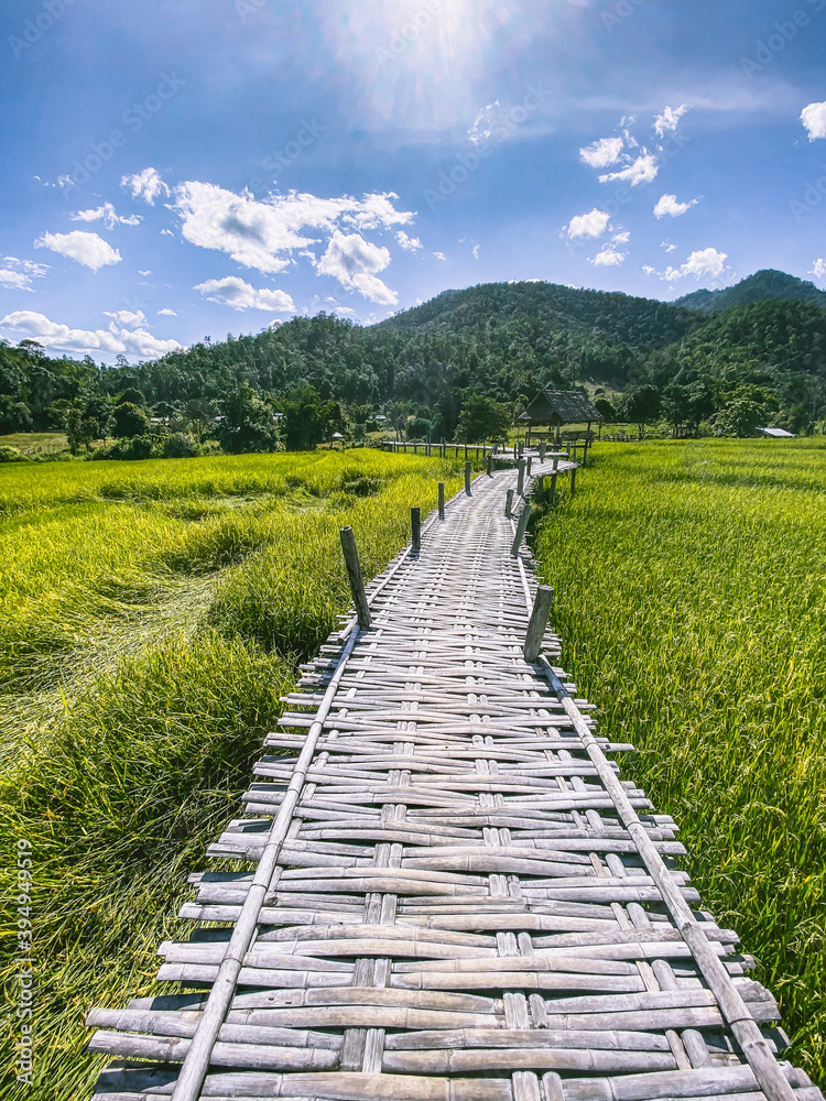 Bamboo Bridge in Pai, Mae Hong Son, Chiang Mai, thailand Bamboo Bridge in Pai, Mae Hong Son, Chiang Mai, thailand