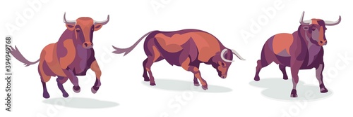 A set of bulls standing in different poses. Vector illustration