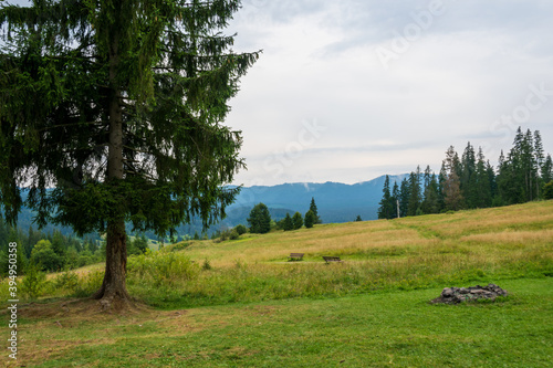 Landscape from the Fairies Garden, Borsec, Romania photo