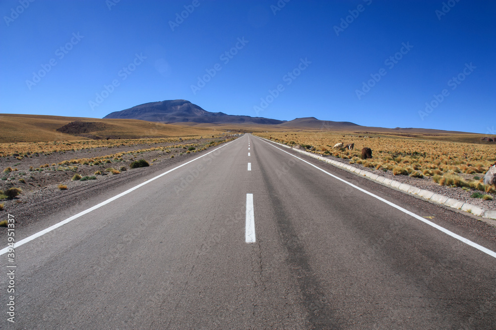 road leading into mountains in altiplano desert road leading into mountains in altiplano desert