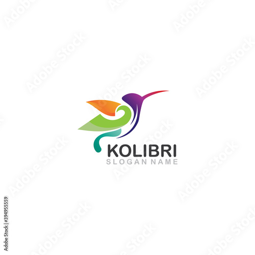Abstract colorful colibri bird logo line outline creative vector icon illustration template