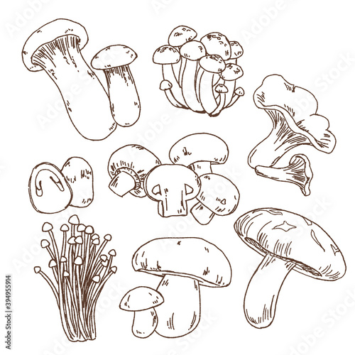 Mushroom collection doodle