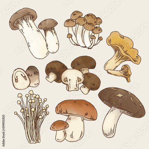 Mushroom collection doodle