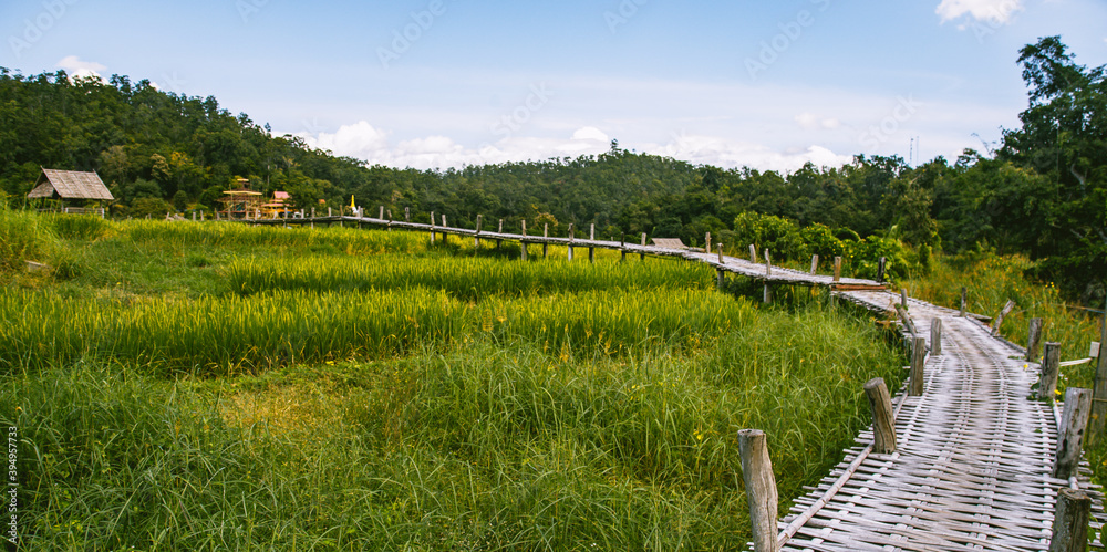 Bamboo Bridge in Pai, Mae Hong Son, Chiang Mai, thailand