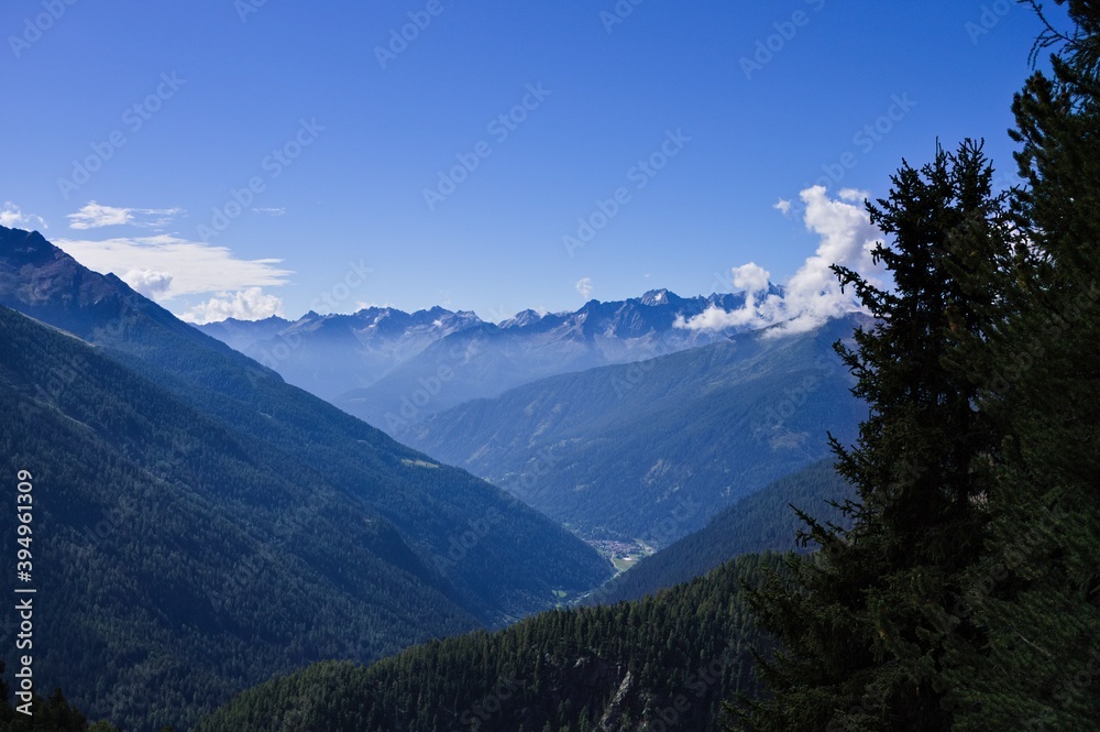 An alpine panorama with mountains and clouds seen from a coniferous forest on a sunny summer day (Alps, Trentino, Italy, Europe)