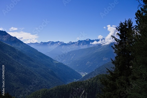 An alpine panorama with mountains and clouds seen from a coniferous forest on a sunny summer day (Alps, Trentino, Italy, Europe) © Tommaso