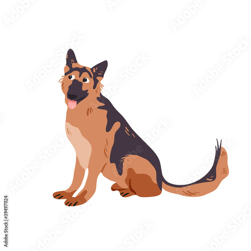 German shepherd isolated on white vector illustration. Dog guard breed design element. Domestic animal in cartoon style.