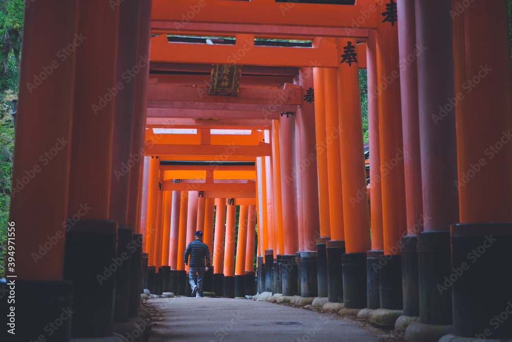 Fototapeta premium 伏見稲荷大社ー鳥居, 京都旅行, 日本伝統