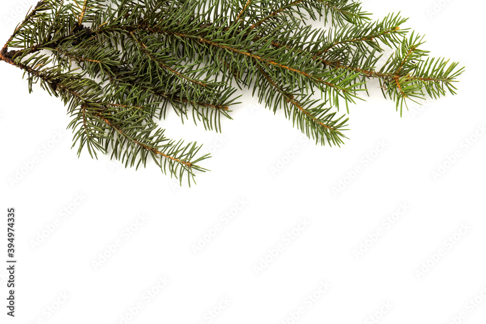 Obraz premium Pine branches isolated on white background, seamless pattern. Christmas and New Year background.