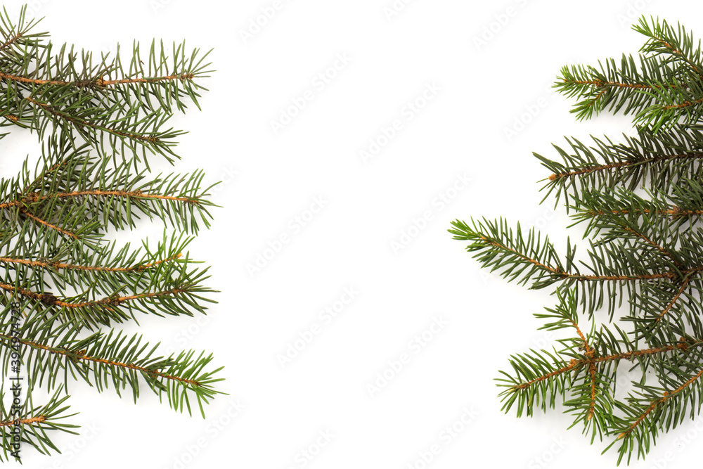 Pine branches isolated on white background, seamless pattern. Christmas and New Year background.