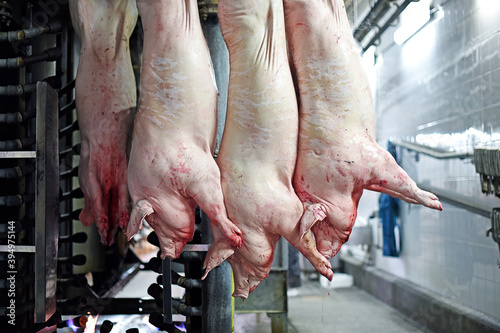 Pork carcasses are processed at the factory. Meat production. A place where pigs are killed.
