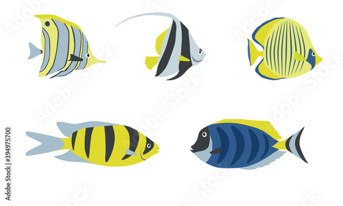 Set of exotic sea fish color design cartoon on white background. Ocean fish animal, underwater life sea fish in flat style, nature wildlife aquarium, tropical drawing marine fauna vector illustration.