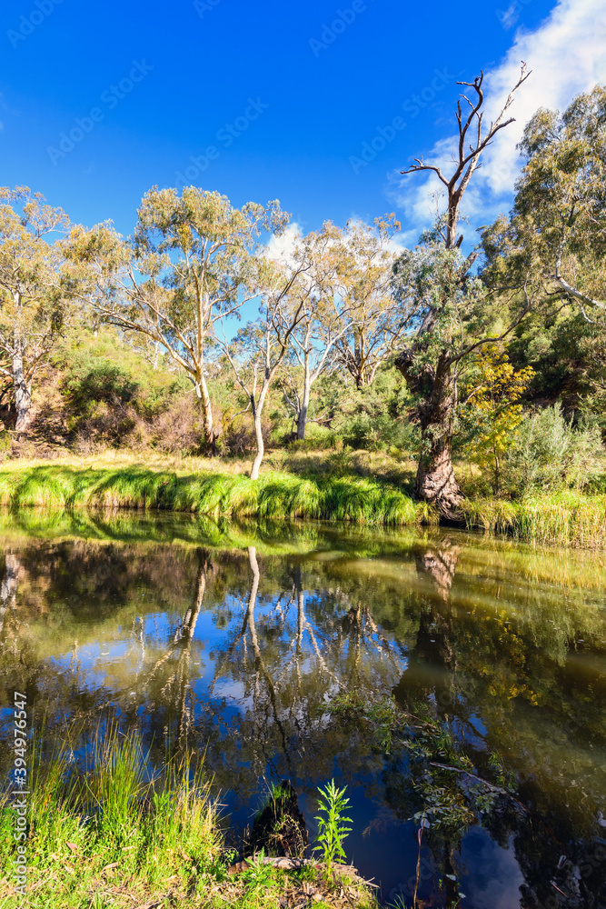 Onkaparinga River National Park walking trail on a bright day Onkaparinga River National Park walking trail on a bright day
