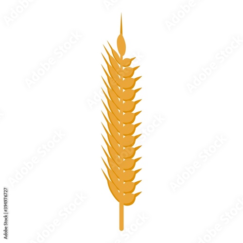 Healthy wheat food icon. Isometric of healthy wheat food vector icon for web design isolated on white background
