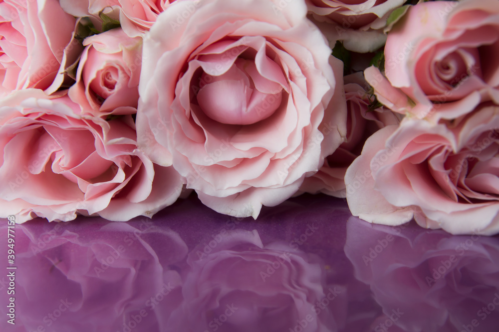 beautiful bush roses in a large bouquet on a reflective shiny surface beautiful bush roses in a large bouquet on a reflective shiny surface