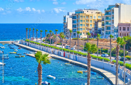 The tall palms at Dawret Il-Gzejjer seaside promenade of Bugibba, Malta photo