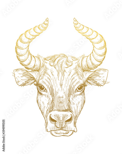 Happy New Year 2021 of the Ox, Ox-Taurus. Golden linear drawing on a white background, tarot, tattoo, chinese horoscope, astrology and zodiac signs. Vector illustration for poster, cover, calendar, l.