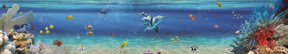 panoramic underwater panoramic underwater