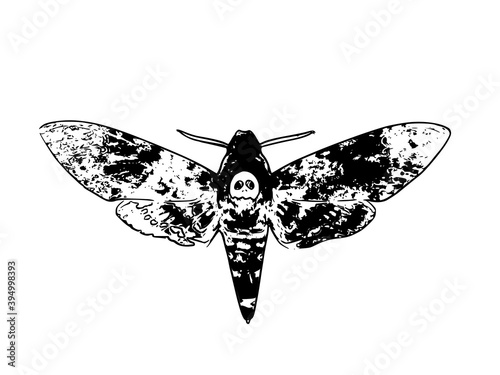 butterfly deathhead illustration, black and white