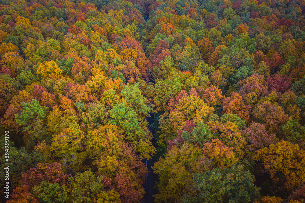 Obraz premium Aerial view of road through colorful autumn forest
