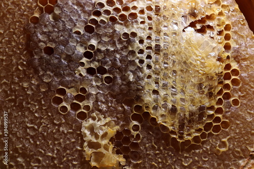  natural honey is called Karakovan honey in Turkish. close up.