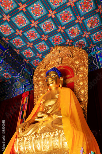The Buddha statue is worshipped in the Mahavira hall in a temple, Yi County, Hebei Province, China