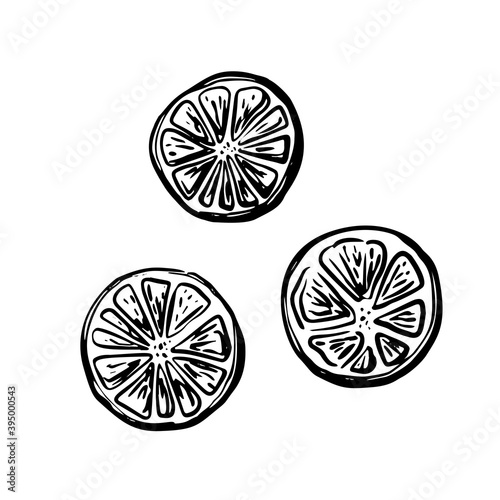 Vector set black orange lemon slice isolated on white background hand drawn doodle sketch.