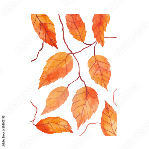 harvest-autumn-red-leaves