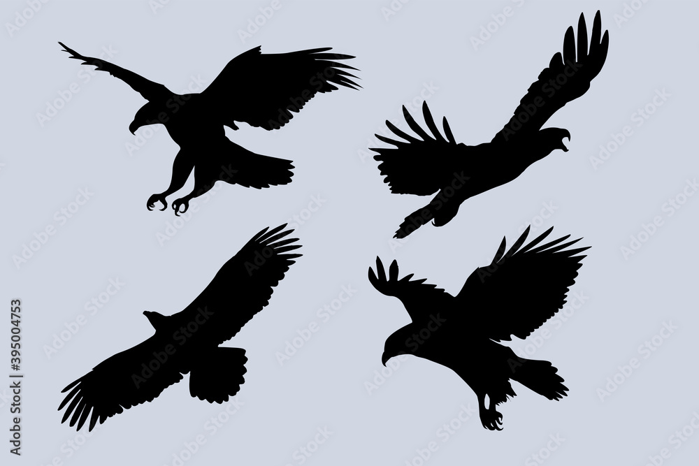 Four eagles flying silhouettes set vector illustrations Four eagles flying silhouettes set vector illustrations