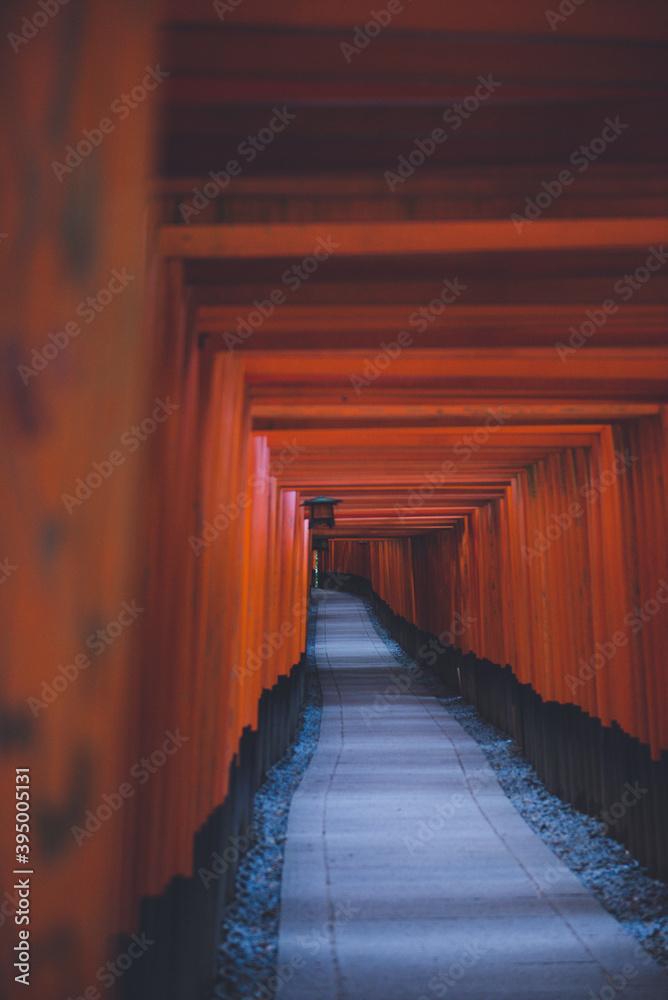 伏見稲荷大社ー鳥居, 京都旅行, 日本伝統