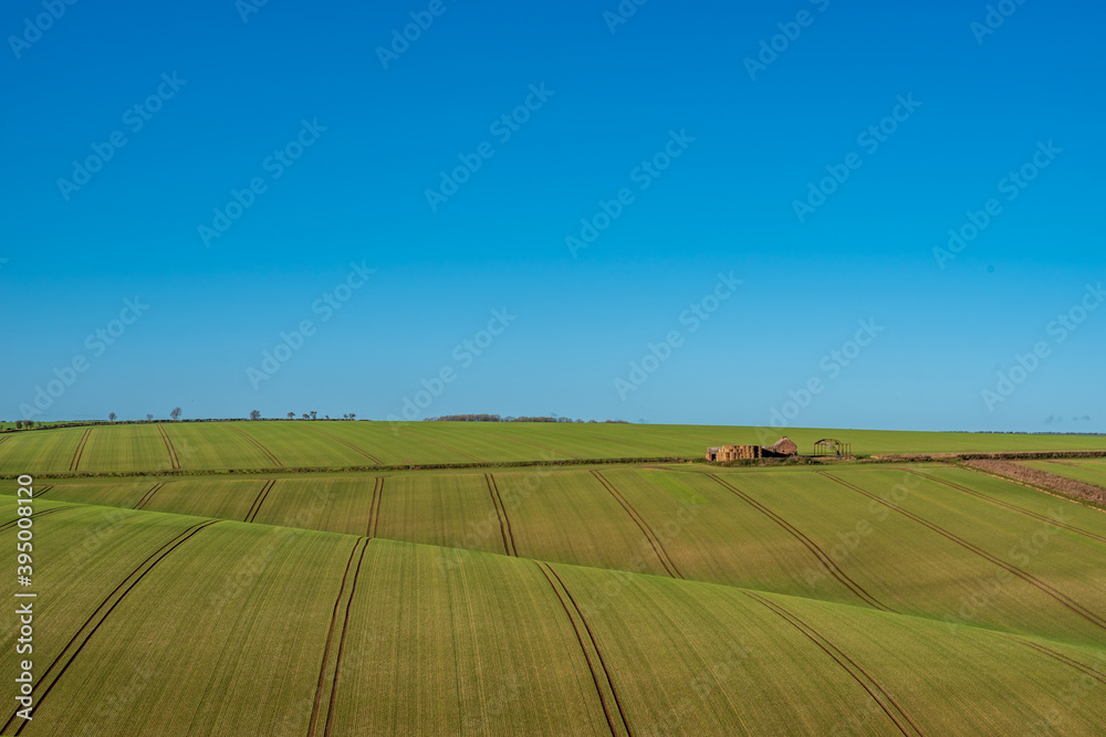 Rolling Green Fields with clear blue sky
