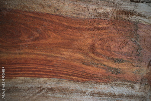 surface of the wood, the bark is used as a natural background.