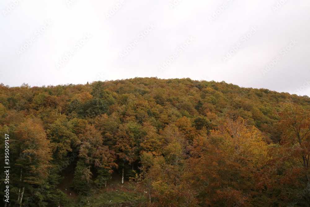 Autumn in the mountains of Friuli, Italy