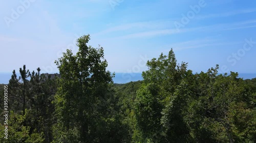 Wild nature of the black sea and green forest with gorgeous mountains in the city of Tuapse