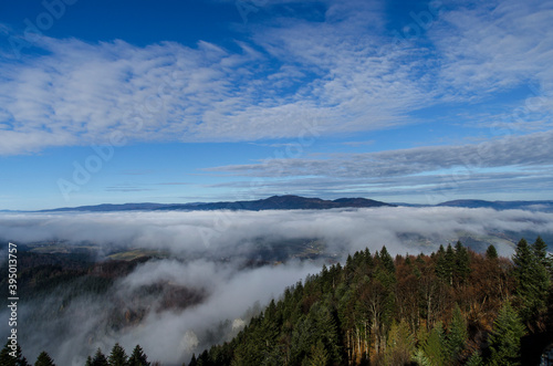 Fototapeta Naklejka Na Ścianę i Meble -  Pieniny panorama mgła 