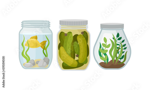 Glass Jars with Different Objects Inside Vector Set