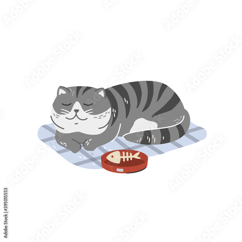 Vector illustration of chubby sleeping gray cat. Cute domestic cat resting on the carpet after eating dinner. 