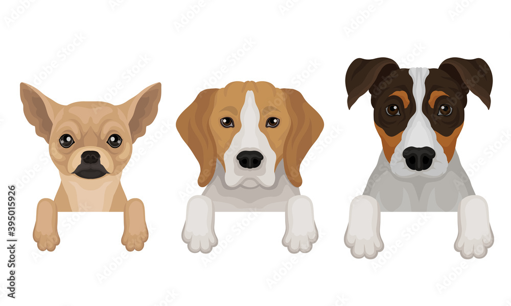 Dogs of Different Breeds Hanging on Border Vector Set