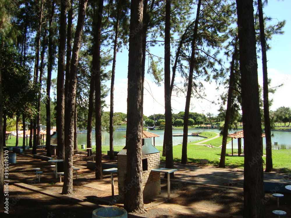 park in the park park in the park