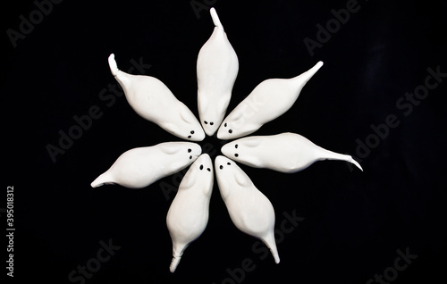 Sweet white mice from marschmallow with black eyes, foamy sugar, flat layed in form of a star for Christmas on black background photo